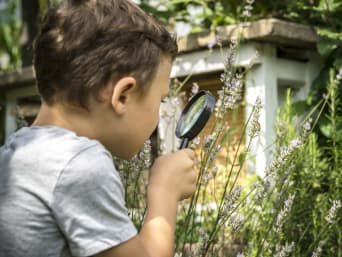 Dieren in de tuin - jongen observeert een bij met een vergrootglas.