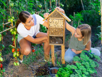 Insecten bestuderen voor kinderen: moeder en dochter bouwen een insectenhotel.