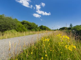 Met kinderen op vakantie naar Ardennen: een fietspad door de natuur.  Met kinderen op vakantie naar Ardennen: een fietspad door de natuur.