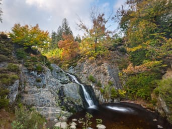 Vakantie Ardennen: Een kleine waterval, omgeven door boven en stenen.  