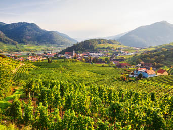Familienurlaub Niederösterreich: Blick auf das Wachau Tal in Niederösterreich. Familienurlaub Niederösterreich: Blick auf das Wachau Tal in Niederösterreich.