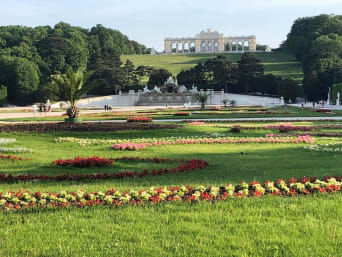 Ausflüge mit Kindern in Wien: Blick in den Schlosspark Schönbrunn in Wien.