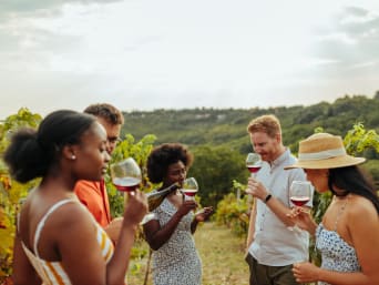 Culinaire evenementen: een groep neemt deel aan een wijnproeverij in een wijngaard. Culinaire evenementen: een groep neemt deel aan een wijnproeverij in een wijngaard.