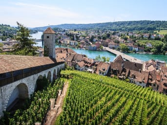 Wein Schaffhausen: Blick auf Schaffhausen mit Weinbergen und auf die Festung Munot. Wein Schaffhausen: Blick auf Schaffhausen mit Weinbergen und auf die Festung Munot.