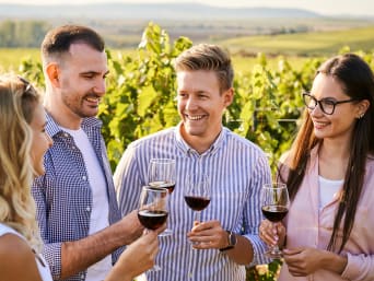 Wein Schaffhausen: Freunde stossen in den Weinbergen mit einem Glas Rotwein an. Wein Schaffhausen: Freunde stossen in den Weinbergen mit einem Glas Rotwein an.