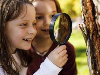 Experimente mit Naturmaterialien – Kinder untersuchen Totholz mit einer Lupe. Experimente mit Naturmaterialien – Kinder untersuchen Totholz mit einer Lupe.
