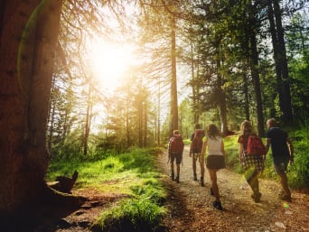 Activiteiten in het bos met kinderen: familie volgt een reisleider in het bos. Activiteiten in het bos met kinderen: familie volgt een reisleider in het bos.