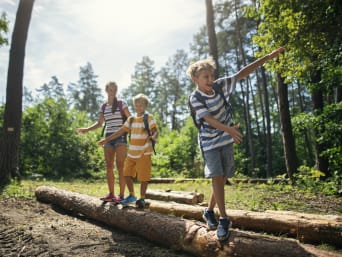 Bosspelen - Kinderen balanceren op een boomstam. Bosspelen - Kinderen balanceren op een boomstam.