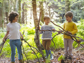 Activiteiten in het bos - Kinderen verzamelen takken voor een spel. Activiteiten in het bos - Kinderen verzamelen takken voor een spel.