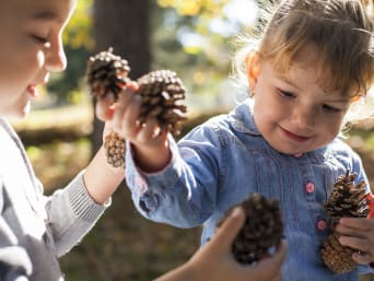 Spelen in het bos met kinderen - Kinderen verzamelen dennenappels voor een bosspel. Spelen in het bos met kinderen - Kinderen verzamelen dennenappels voor een bosspel.