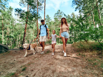 Regels in het bos - Familie met hond wandelt in het bos.  Regels in het bos - Familie met hond wandelt in het bos.