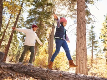Bosregels - kinderen balanceren op een droge, liggende boomstam. Bosregels - kinderen balanceren op een droge, liggende boomstam.