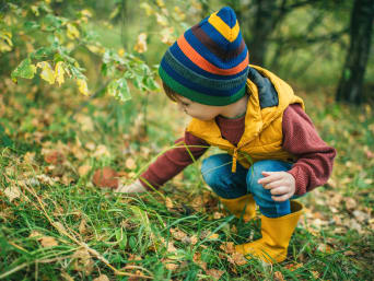 Regels in het bos voor kinderen - Kind bekijkt een paddenstoel in het bos. Regels in het bos voor kinderen - Kind bekijkt een paddenstoel in het bos.