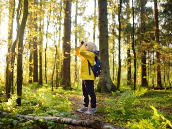 Gedragsregels in het bos - Kind observeert vogels in het bos met een verrekijker. Gedragsregels in het bos - Kind observeert vogels in het bos met een verrekijker.