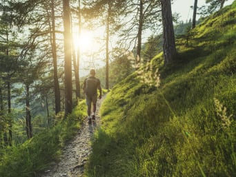 Umweltbewusstes Verhalten im Wald: Mann wandert auf einem Waldweg. Umweltbewusstes Verhalten im Wald: Mann wandert auf einem Waldweg.