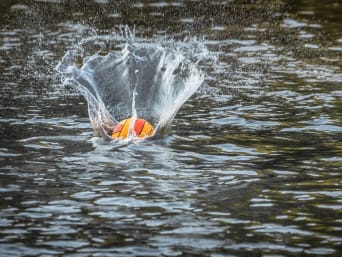 Kanupolo: Gelber Poloball landet beim Spielen im Wasser. Kanupolo: Gelber Poloball landet beim Spielen im Wasser.