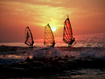 Windsurfen: Eine Gruppe von Windsurfern surft gemeinsam auf dem Meer. Windsurfen: Eine Gruppe von Windsurfern surft gemeinsam auf dem Meer.