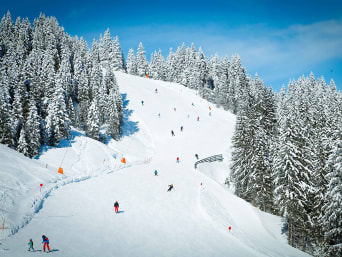 Skiurlaub Österreich: Urlauber fahren schneebedeckte Piste herunter. Skiurlaub Österreich: Urlauber fahren schneebedeckte Piste herunter.