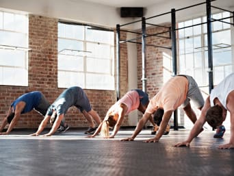 Ashtanga Yoga: Yoga participants in the downward-facing dog. Ashtanga Yoga: Yoga participants in the downward-facing dog.
