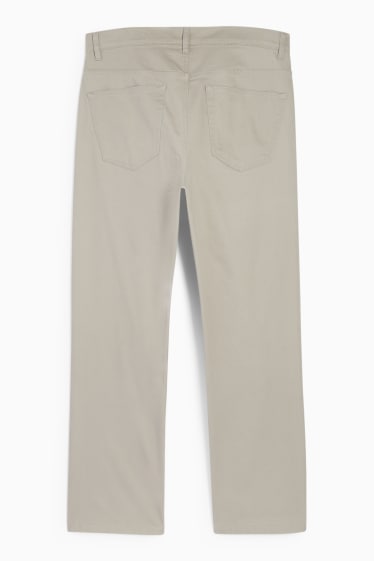 Bărbați - Pantaloni - regular fit - gri