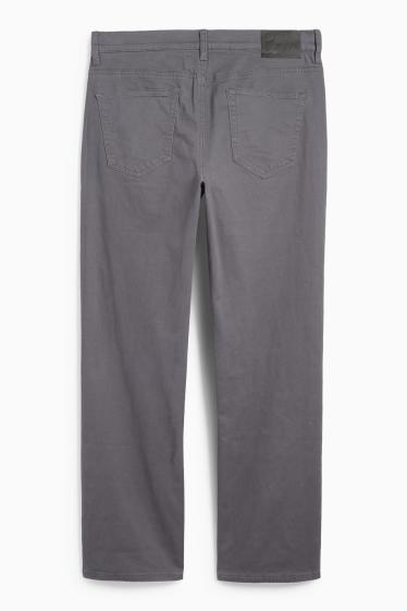 Bărbați - Pantaloni termoizolanți - regular fit - gri