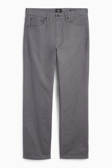 Bărbați - Pantaloni termoizolanți - regular fit - gri