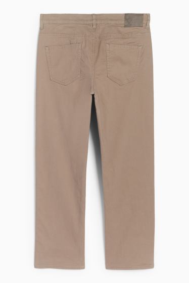 Bărbați - Pantaloni termoizolanți - regular fit - taupe