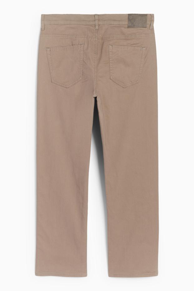 Bărbați - Pantaloni termoizolanți - regular fit - taupe